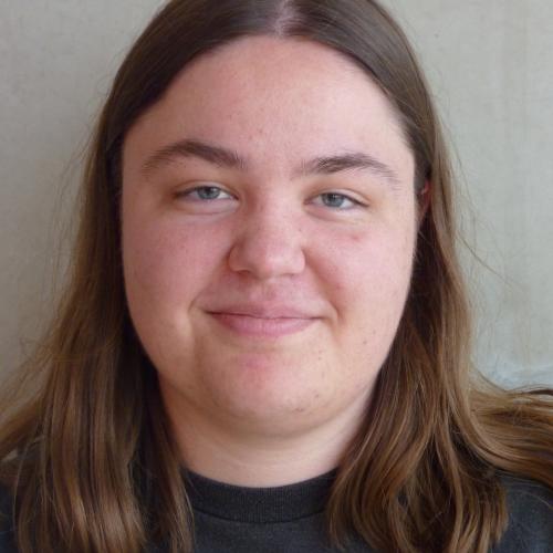 Manometric Catheter Detection and Tracking in Video-Fluoroscopic Swallow Studies: Towards Multimodal Assessment of Swallowing in Head and Neck Cancer